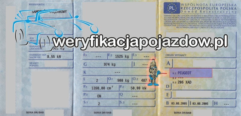 Oznaczenia Kodów Stosowanych W Dowodzie Rejestracyjnym - Weryfikacjapojazdow.pl